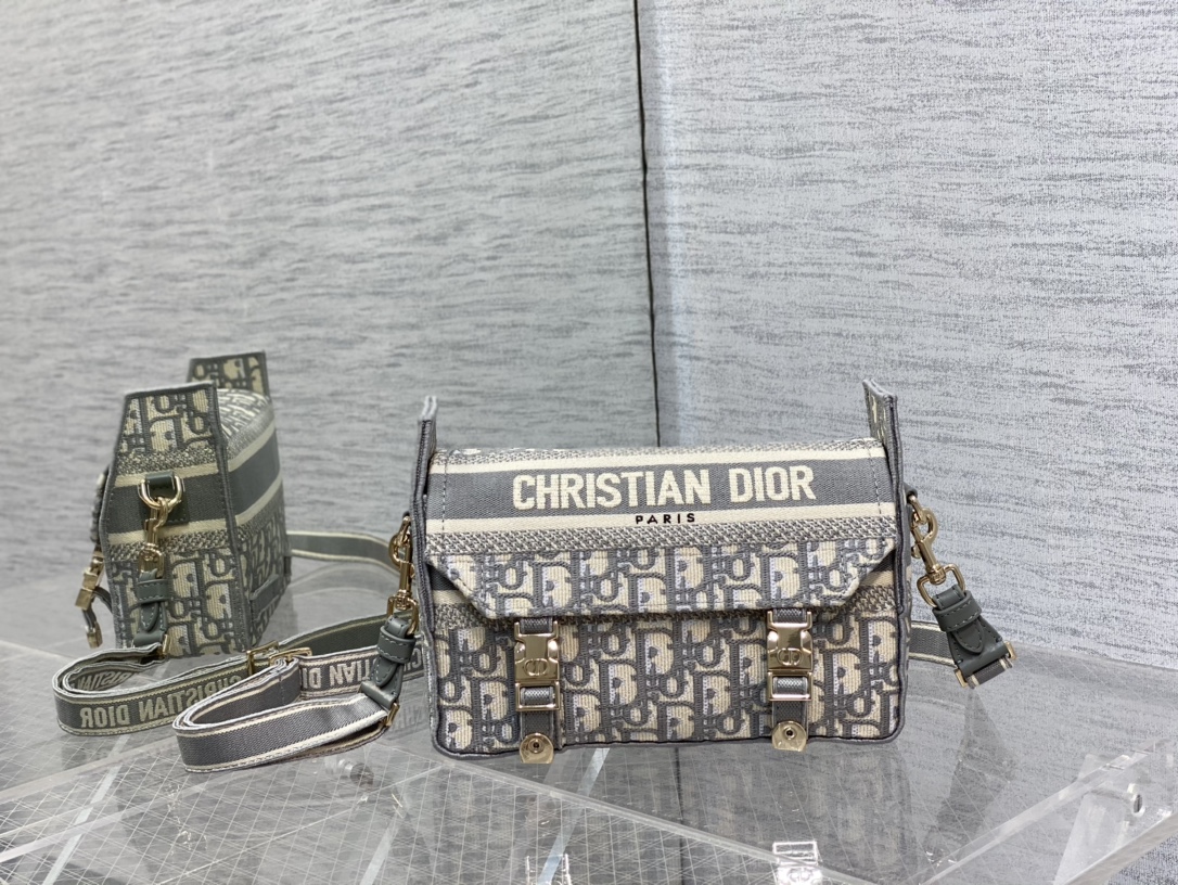 Christian Dior in Skin Gray lady Hand Bag