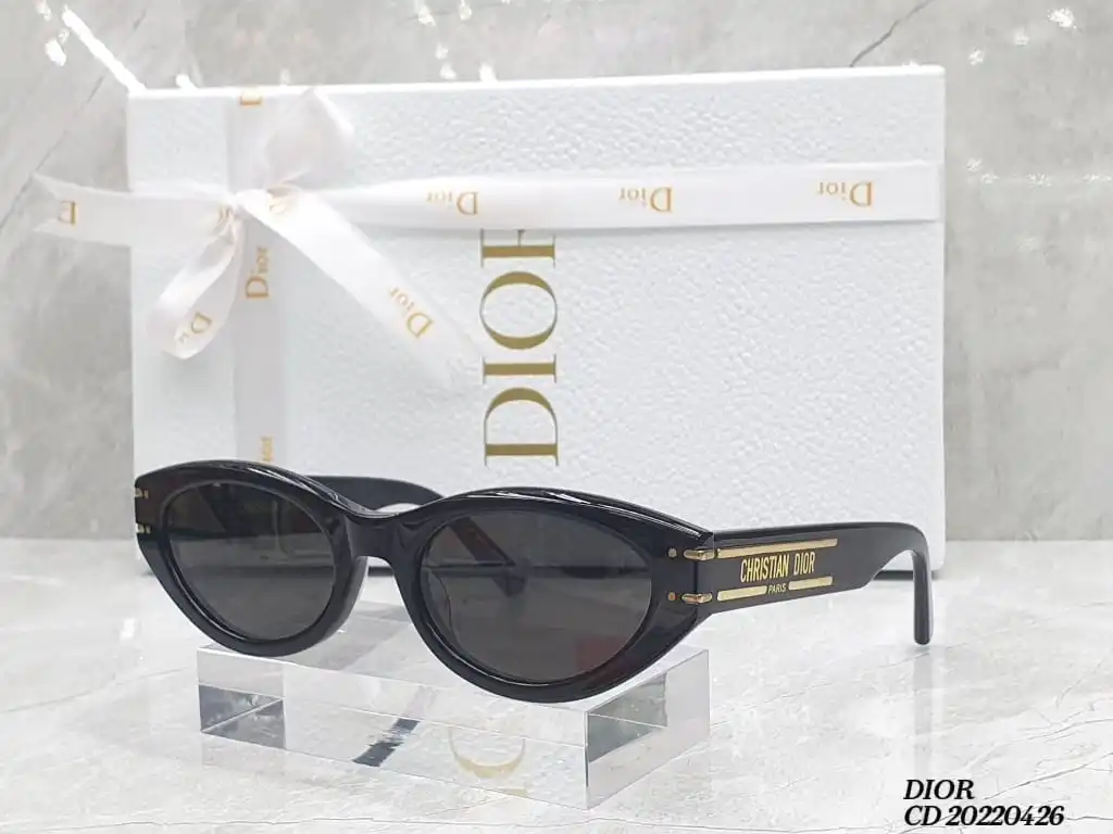 Dior Symbole Sunglasses